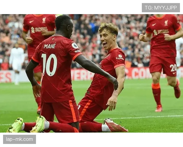 努涅斯 vs 霍伊伦：同代新锐进攻效率与成长潜力对比